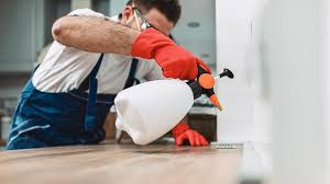 Reliable Platte City, MO Pest Control Solutions